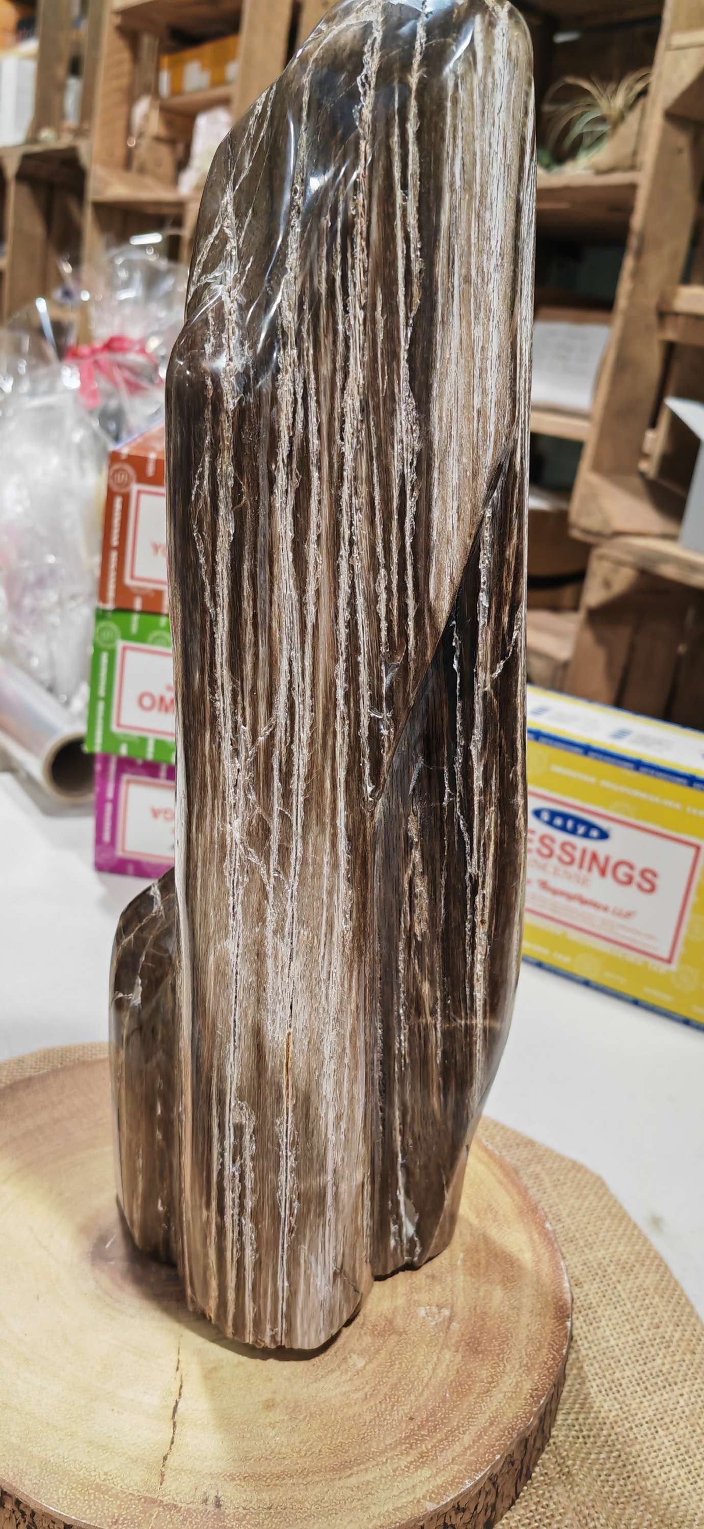 Earthstore® Petrified Wood, 4.2kg - TALL with natural symetrical markings