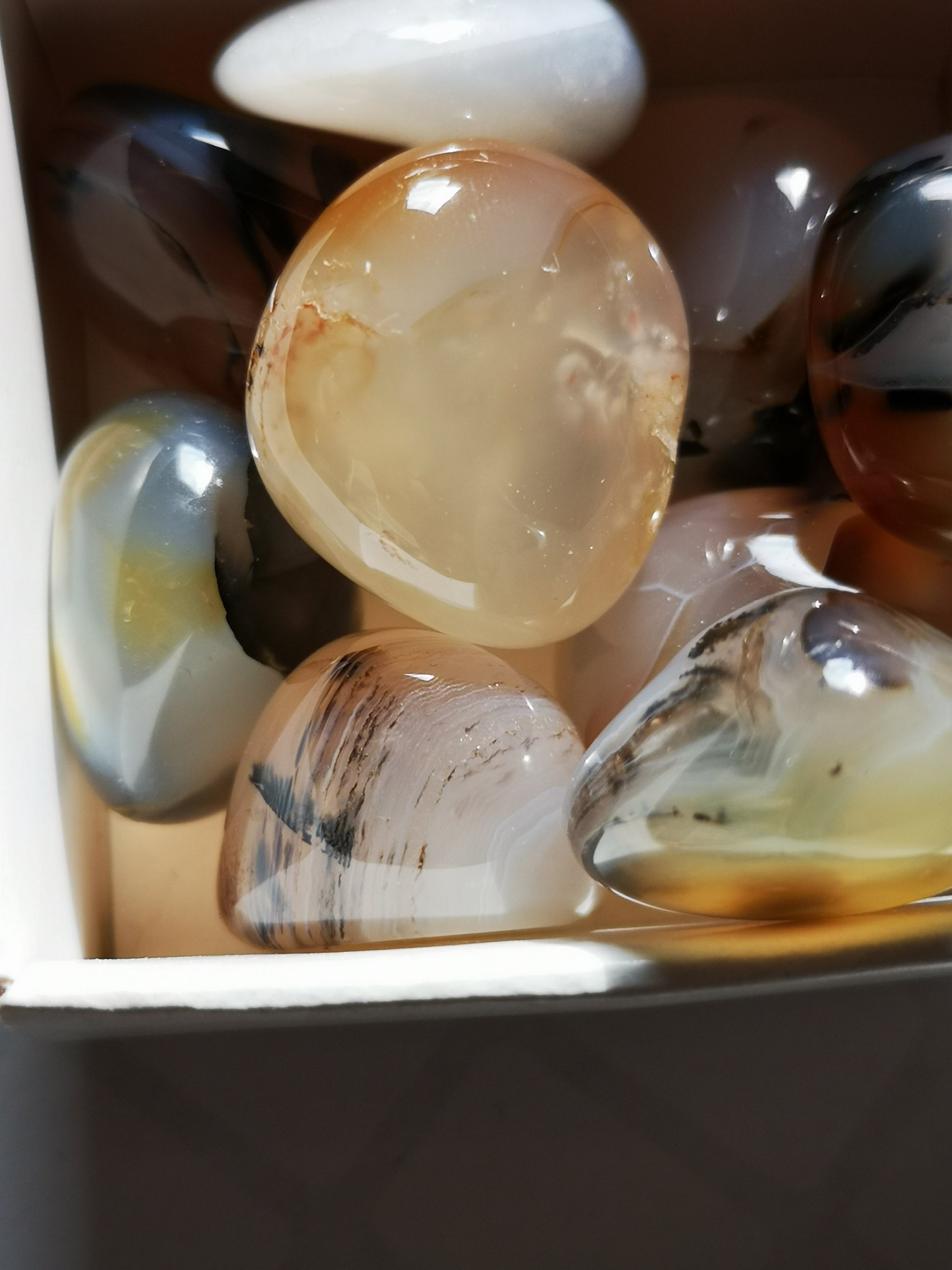 Earthstore® Agate, Dendritic - Tumblestone