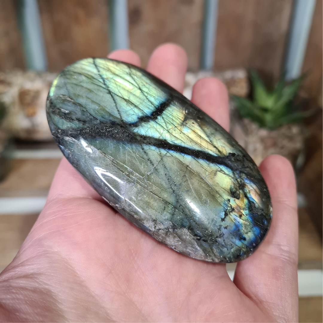 Earthstore® Labradorite - Palm Stones (L/XL/XXL)
