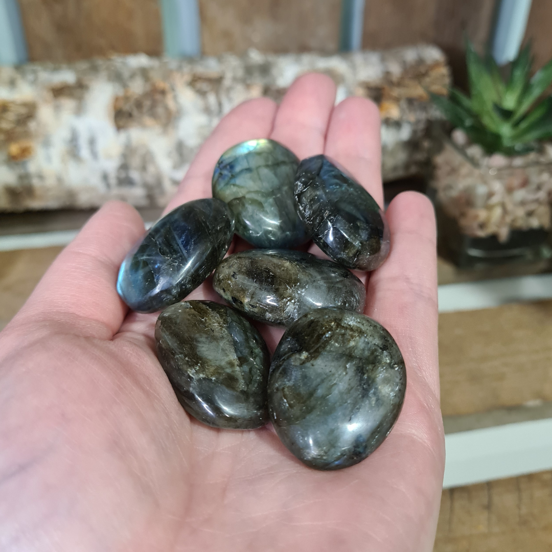 Earthstore® Labradorite - Palm Stones