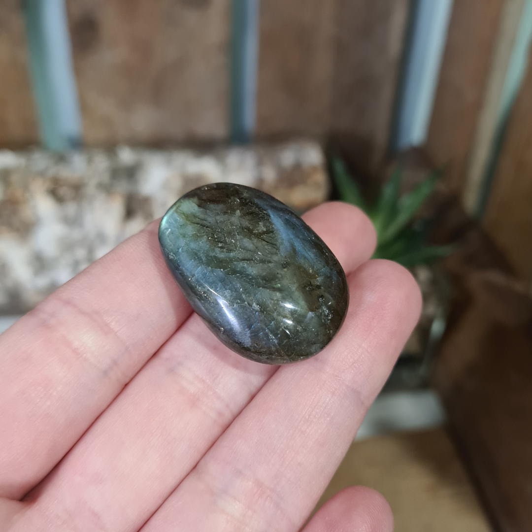 Earthstore® Labradorite - Palm Stones
