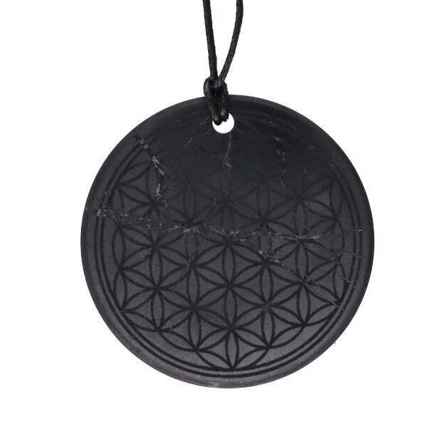 Shungite Pendant & Necklace – Protection, Grounding & Everyday Energy | 10 shapesles