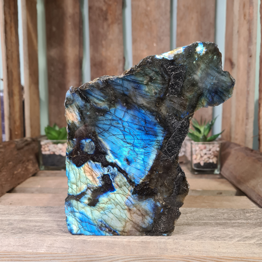Earthstore® Labradorite Display Slabs