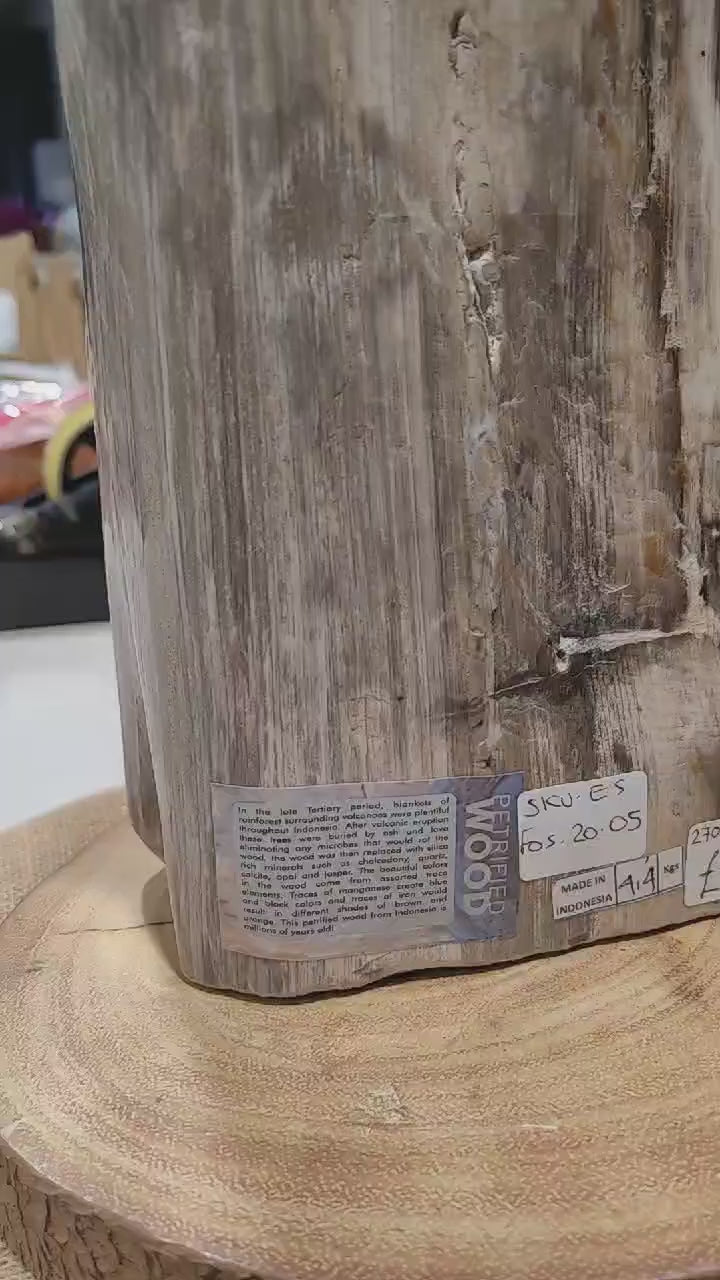 Sample video.
