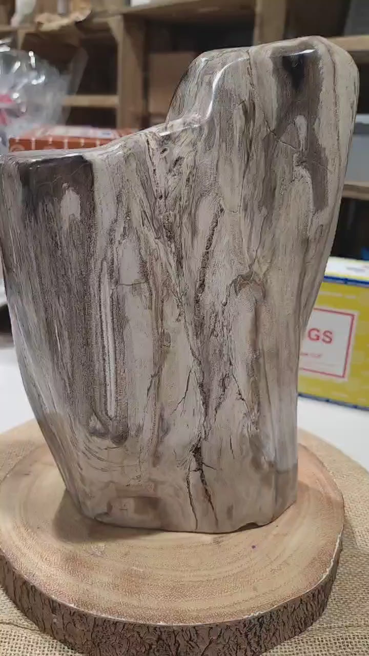 Sample video.