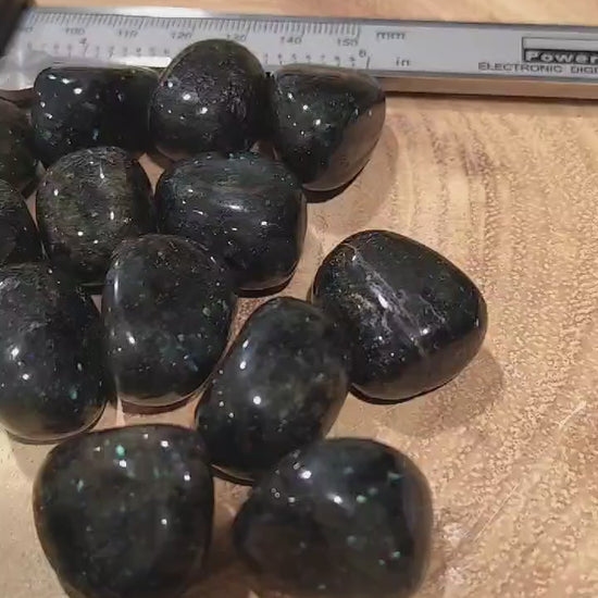 Sample video.