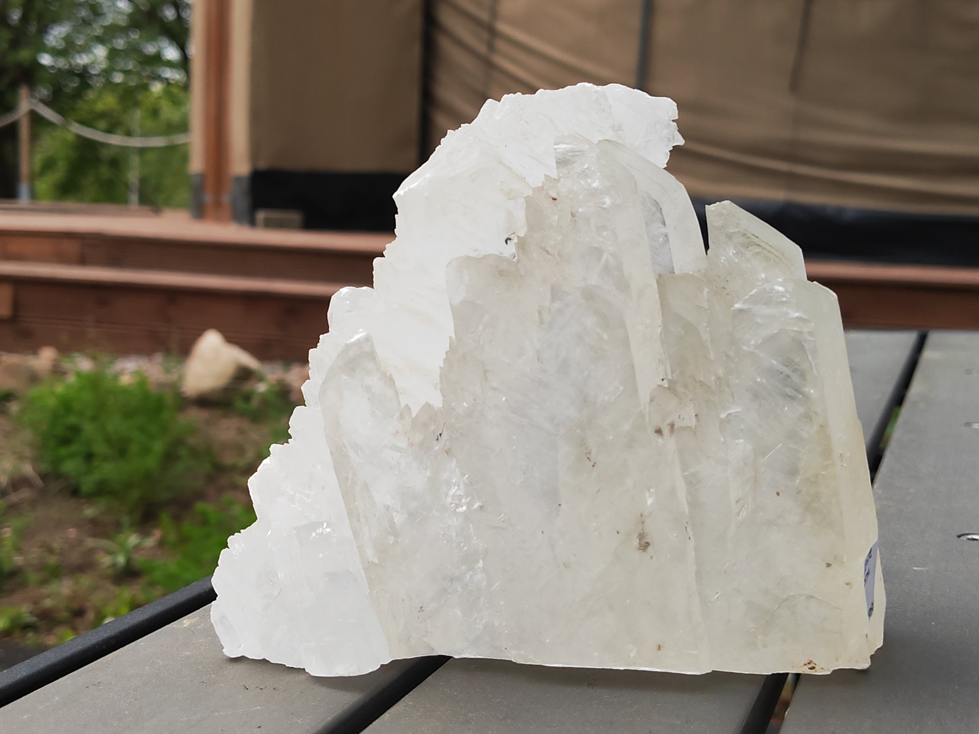 Earthstore® Selenite Angel Wing or Fishtail Upright Cut Base Formation Display 2.5kG