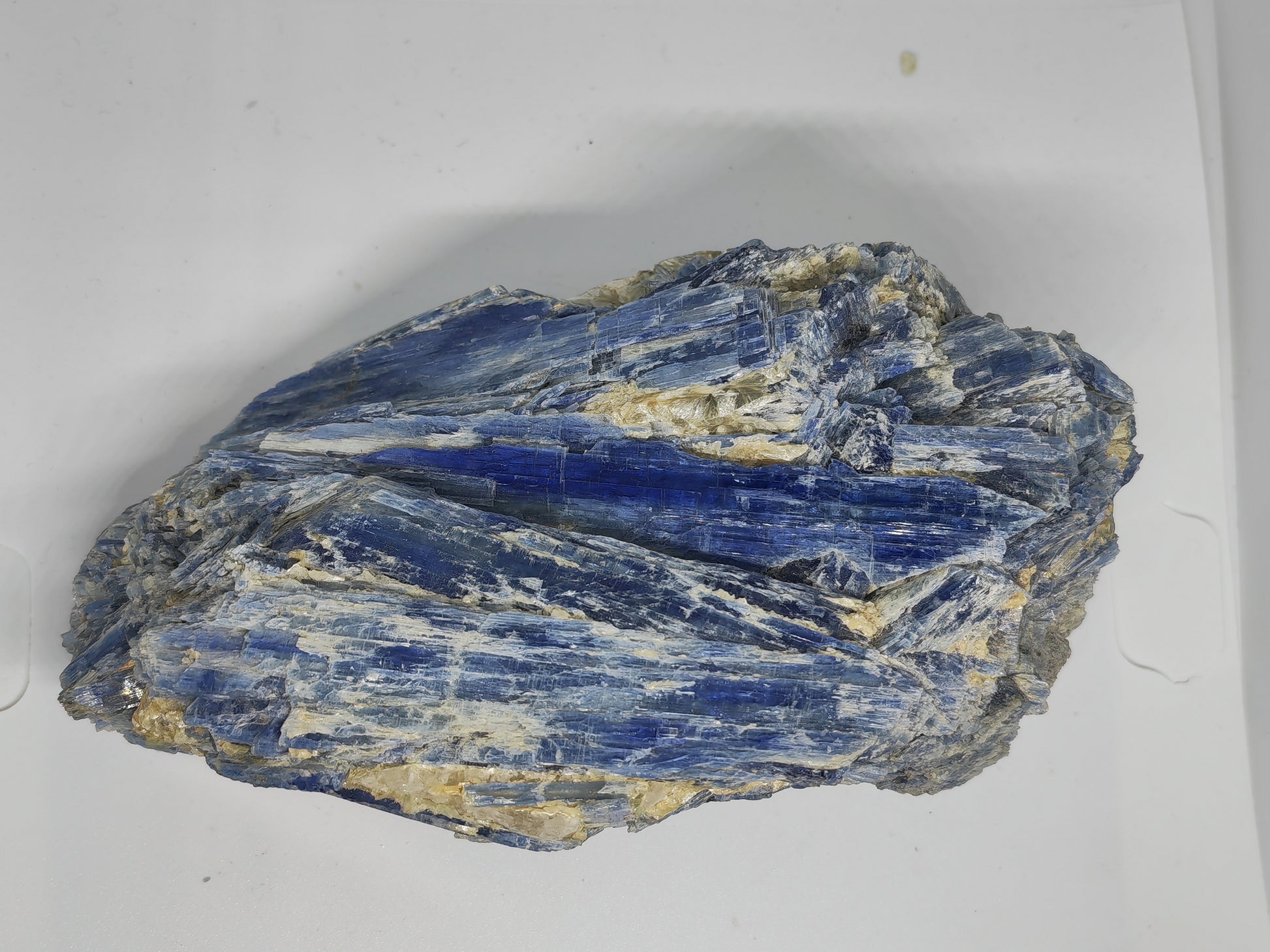 Earthstore® Kyanite - Large Crystal Display Piece Brazil - Jewellery Grade