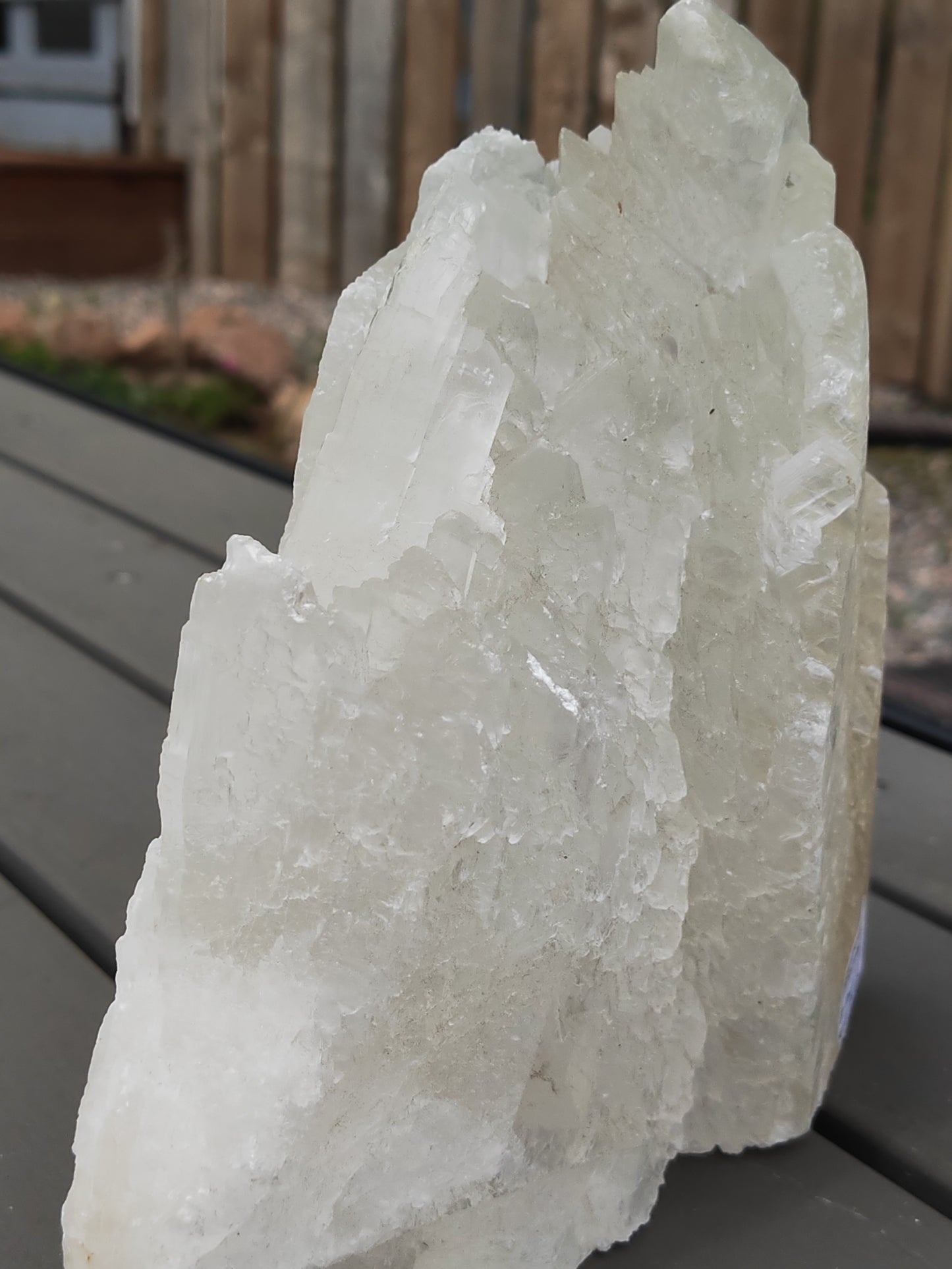 Earthstore® Selenite Angel Wing or Fishtail Upright Cut Base Formation Display 3.3Kg