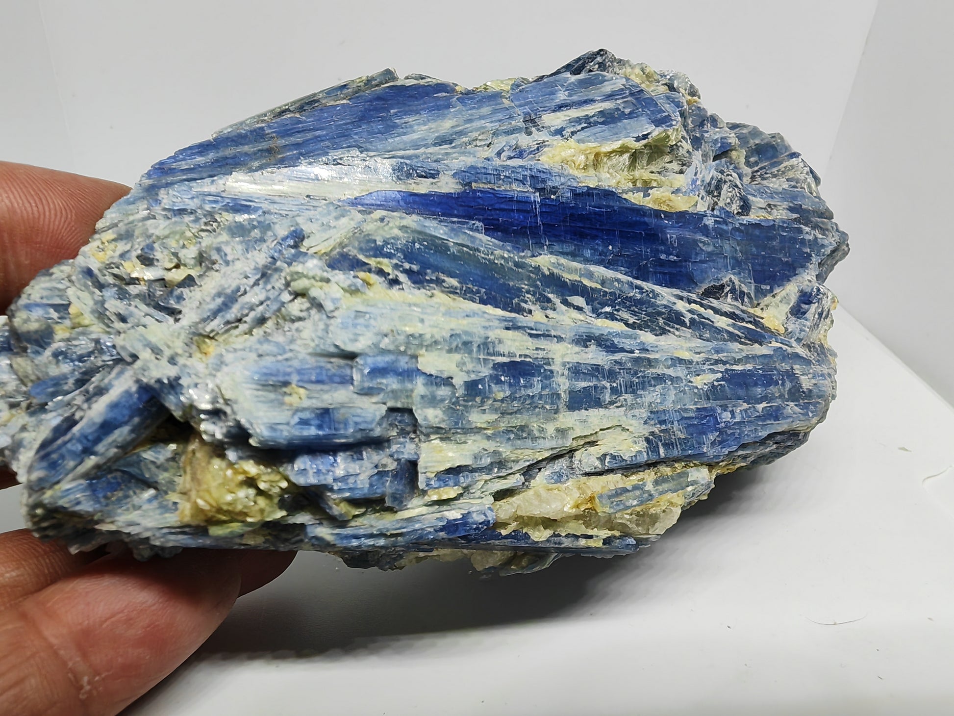 Raw kyanite crystal held by a hand on a white background
