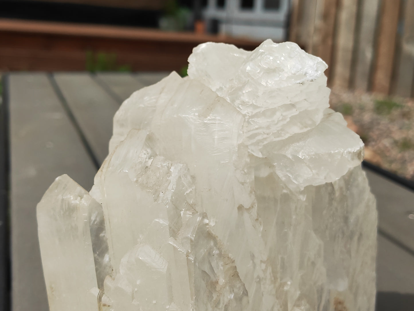 Earthstore® Selenite Angel Wing or Fishtail Upright Cut Base Formation Display 2.5kG