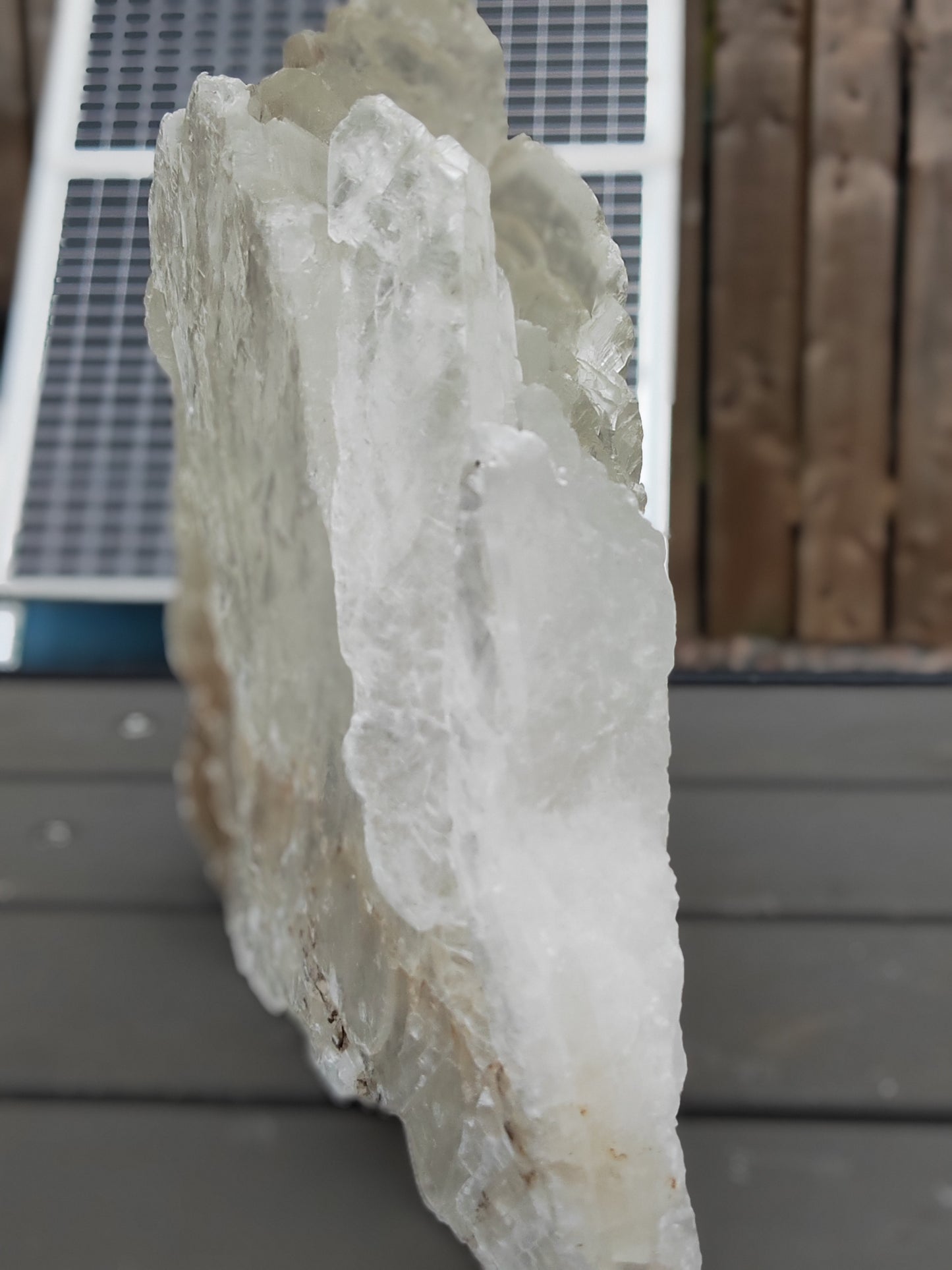 Earthstore® Selenite Angel Wing or Fishtail Upright Cut Base Formation Display 3.3Kg