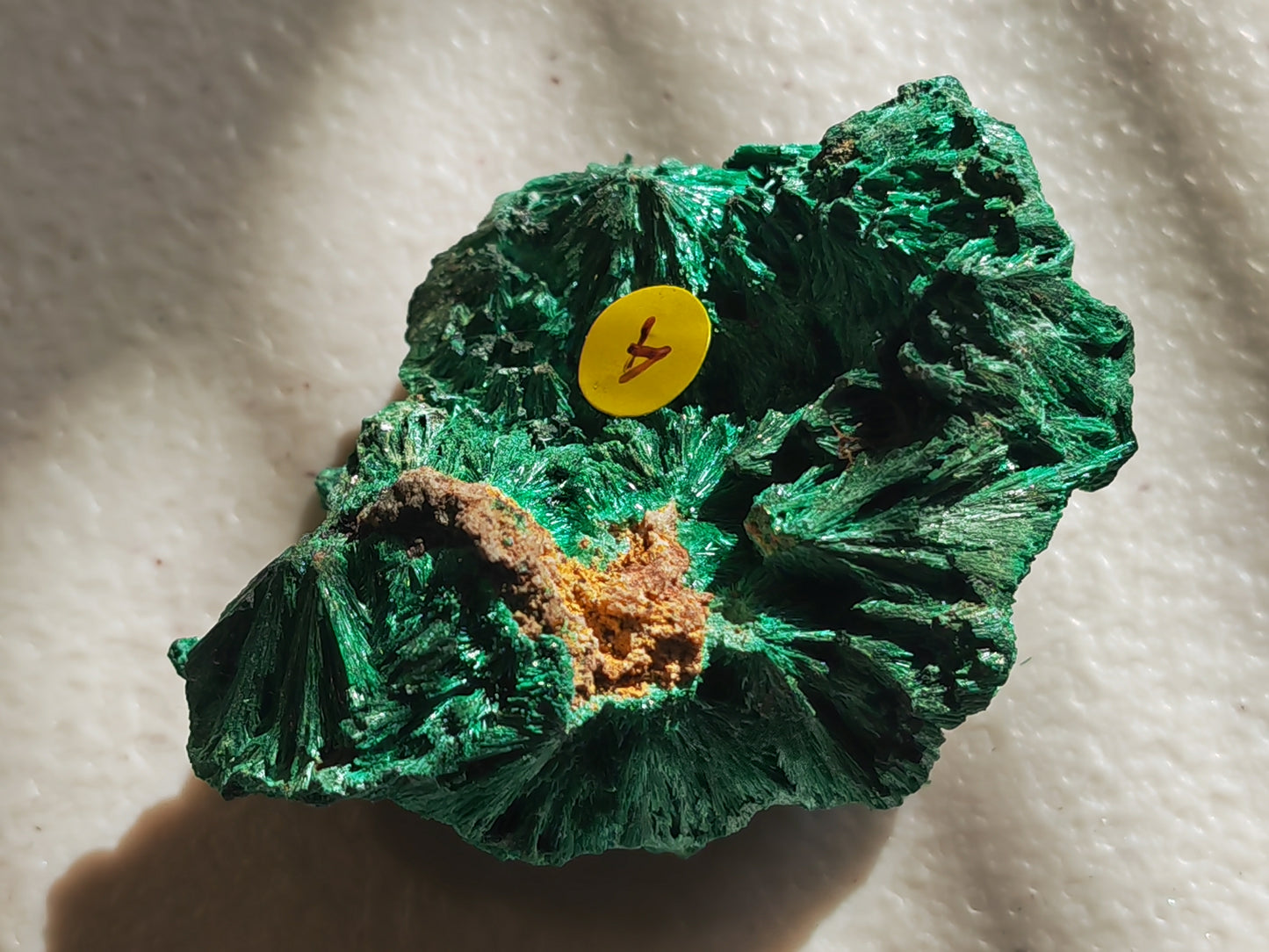 Malachite - Fibrous or Velvet Malachite | Crystal of Transformation, Protection & Heart Healing