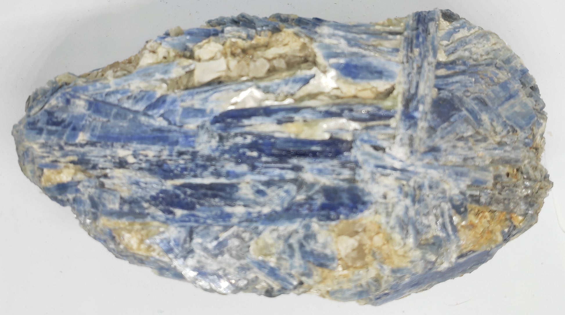 Earthstore® Kyanite - Large Crystal Display Piece Brazil - Jewellery Grade