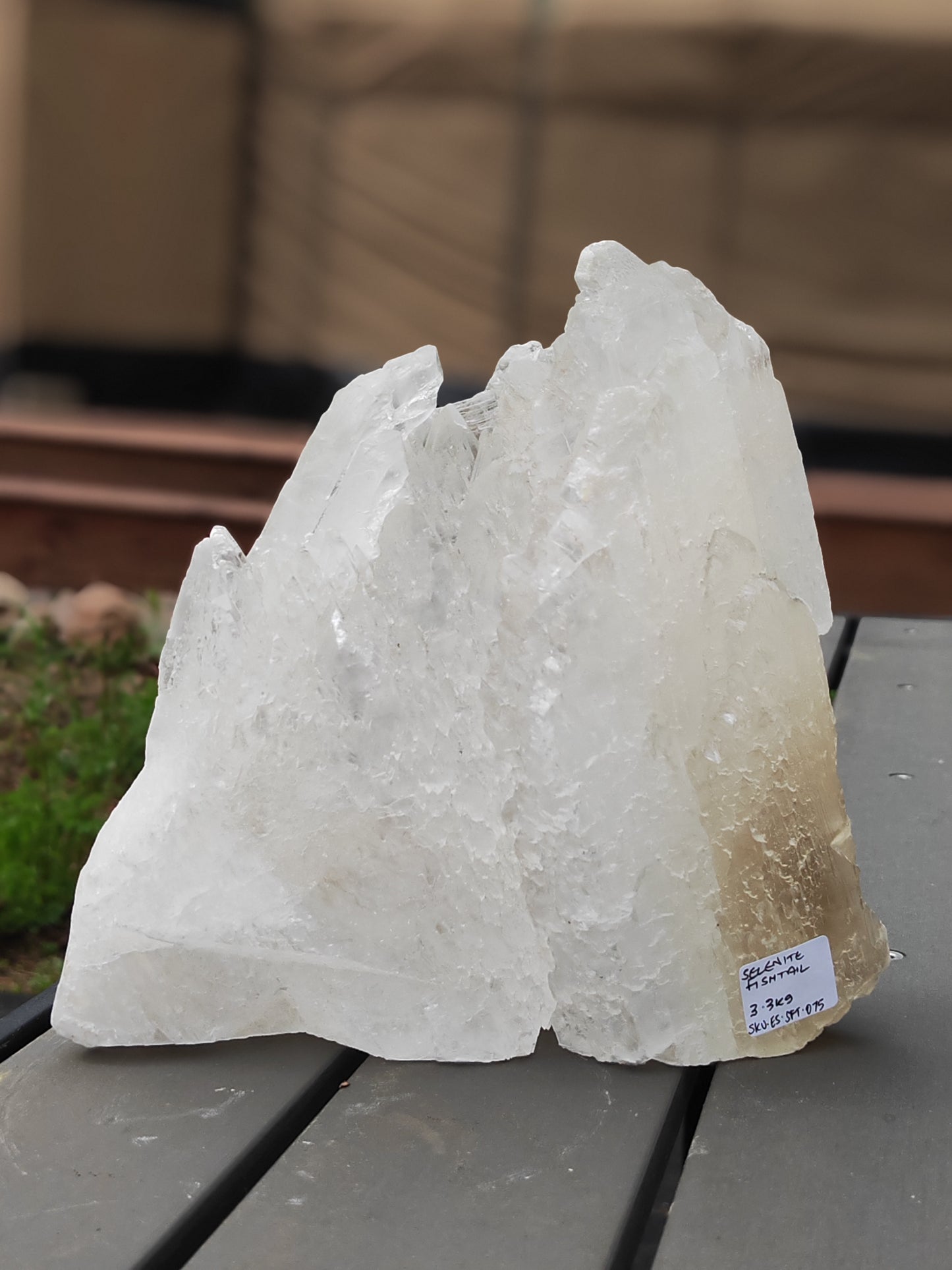 Earthstore® Selenite Angel Wing or Fishtail Upright Cut Base Formation Display 3.3Kg