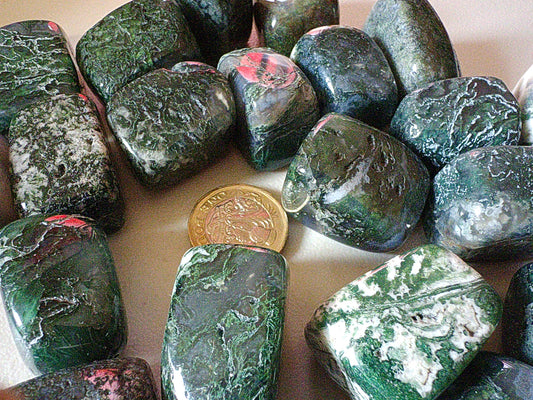 Moss Agate - Tumblestone Polished AAA GRADE - STUNNING VIVID COLOURS