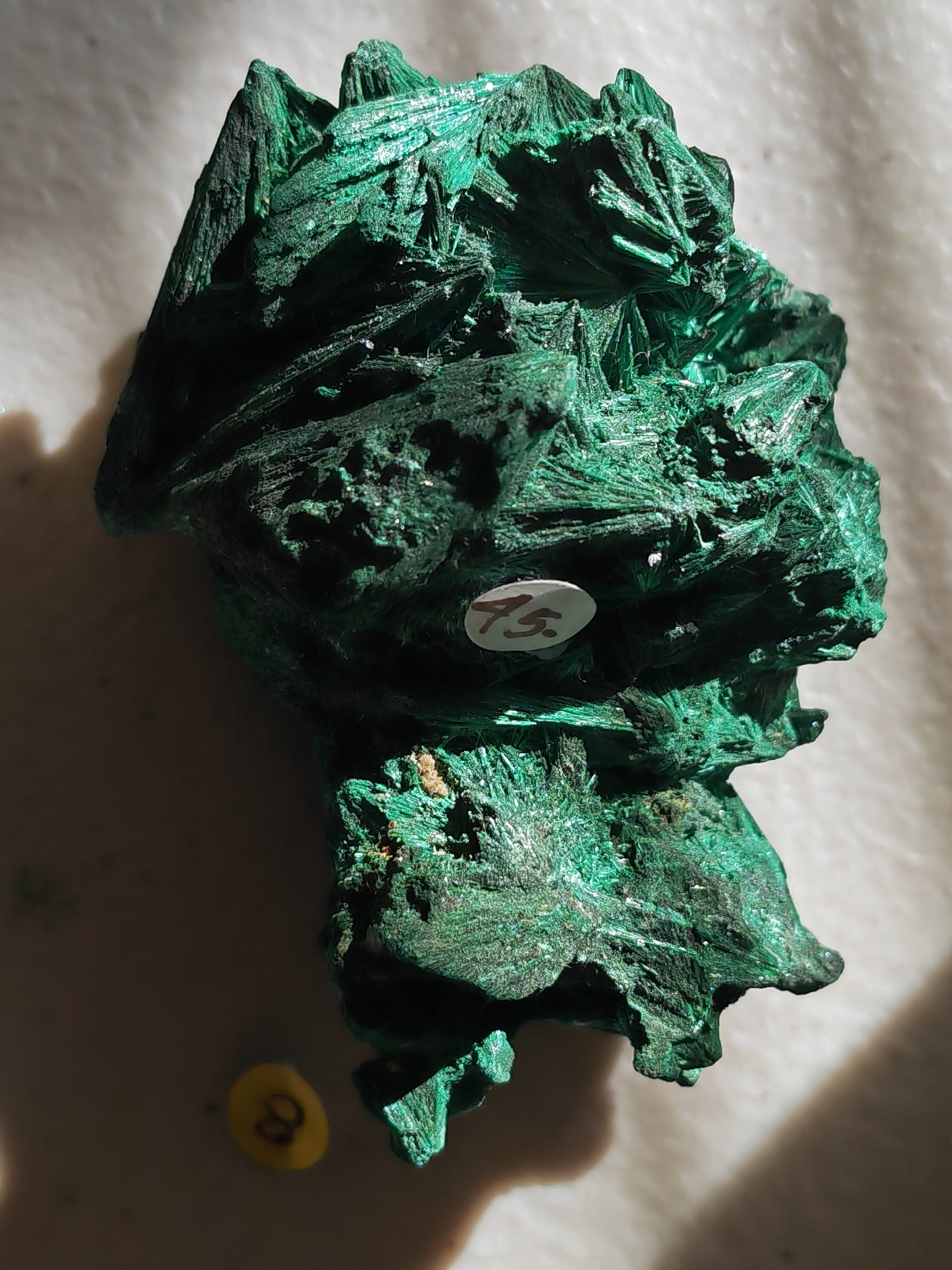 Malachite - Fibrous or Velvet Malachite | Crystal of Transformation, Protection & Heart Healing