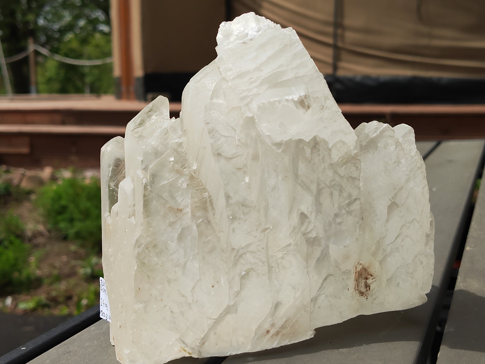Earthstore® Selenite Angel Wing or Fishtail Upright Cut Base Formation Display 2.5kG
