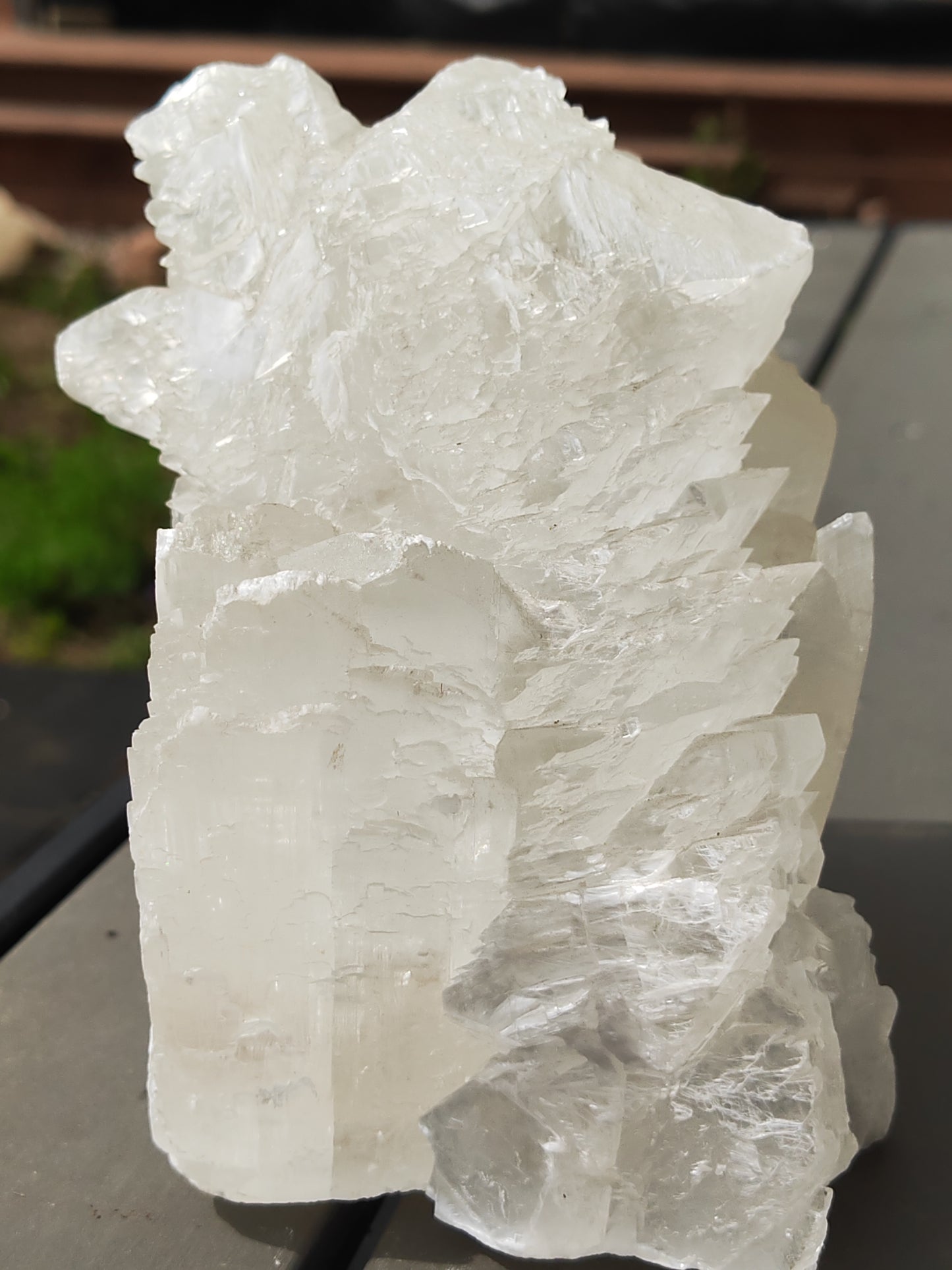 Earthstore® Selenite Angel Wing or Fishtail Upright Cut Base Formation Display 2.5kG