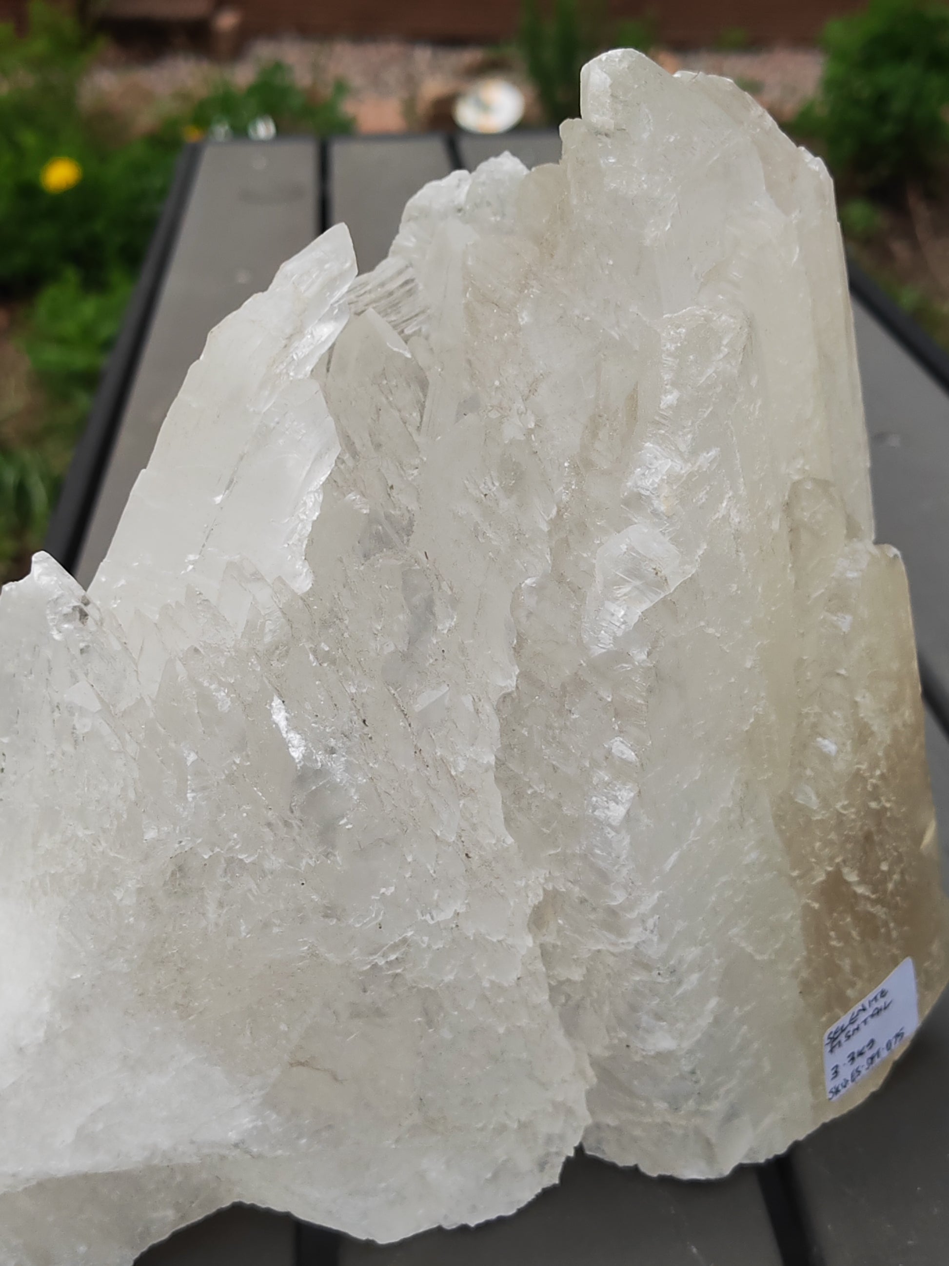 Earthstore® Selenite Angel Wing or Fishtail Upright Cut Base Formation Display 3.3Kg