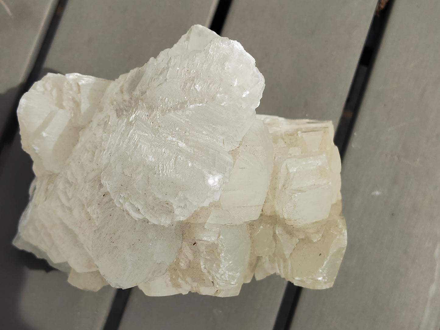 Earthstore® Selenite Angel Wing or Fishtail Upright Cut Base Formation Display 2.5kG