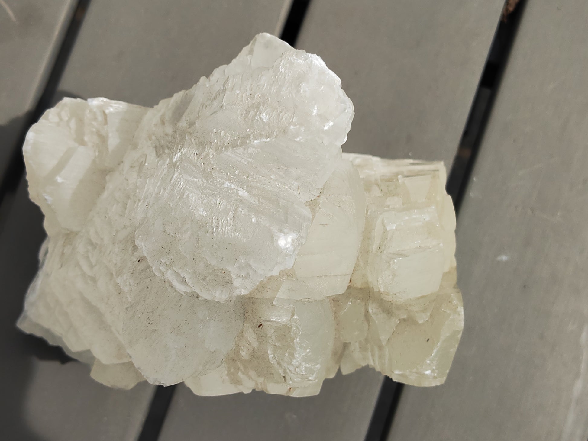 Earthstore® Selenite Angel Wing or Fishtail Upright Cut Base Formation Display 2.5kG