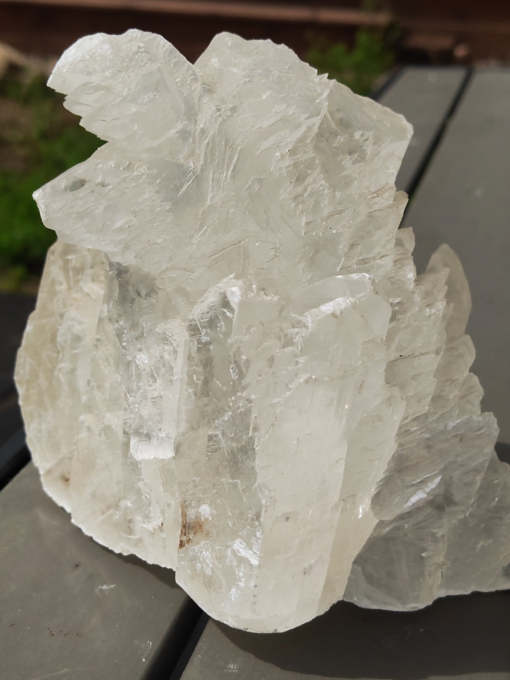 Earthstore® Selenite Angel Wing or Fishtail Upright Cut Base Formation Display 2.5kG