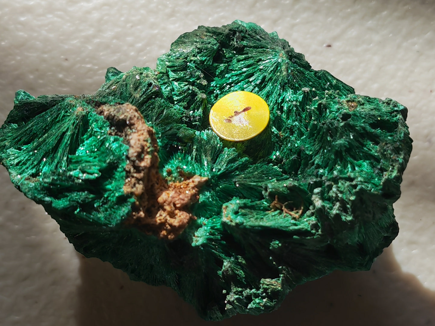 Malachite - Fibrous or Velvet Malachite | Crystal of Transformation, Protection & Heart Healing