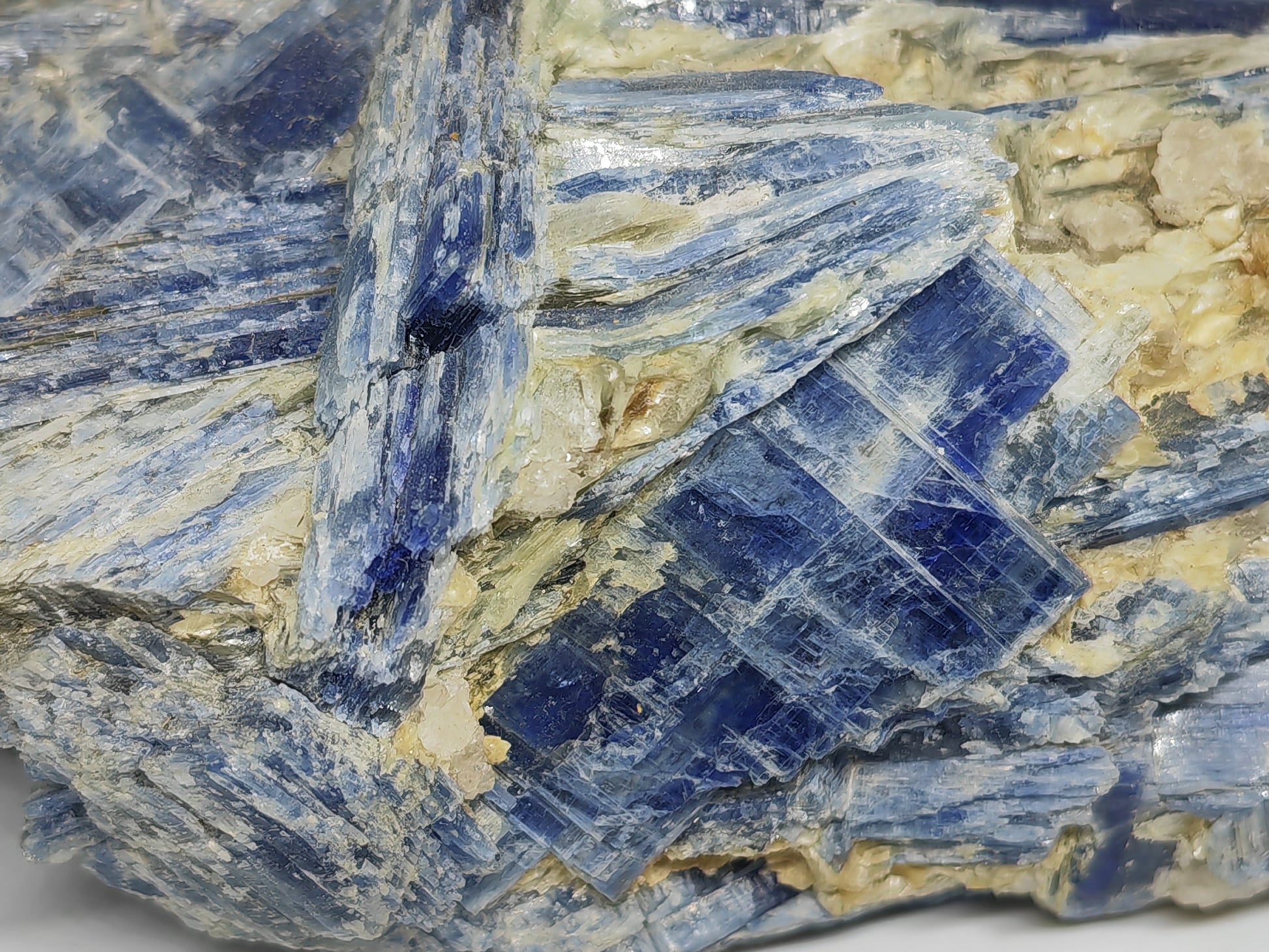 Earthstore® Kyanite - Large Crystal Display Piece Brazil - Jewellery Grade