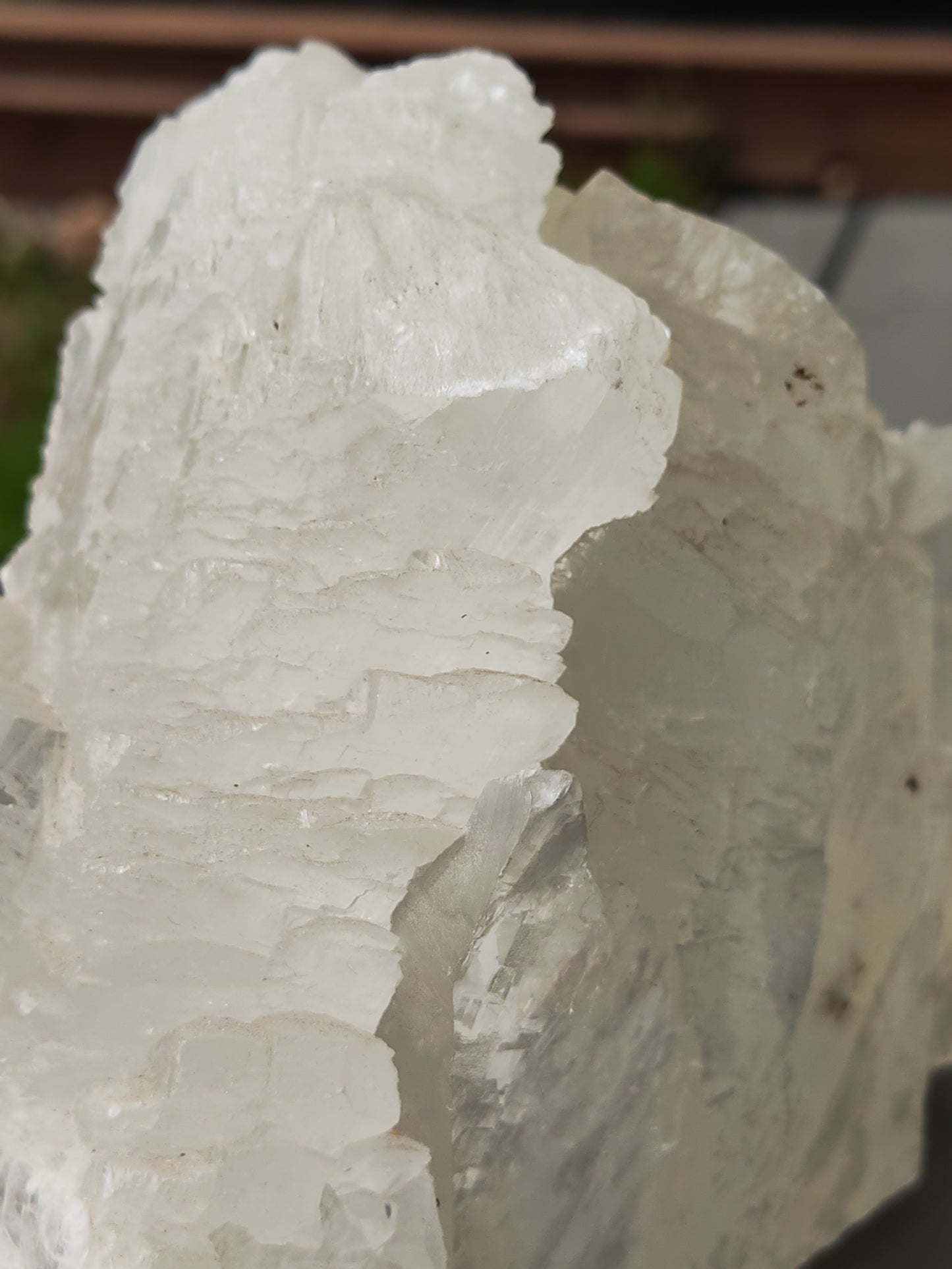 Earthstore® Selenite Angel Wing or Fishtail Upright Cut Base Formation Display 2.5kG