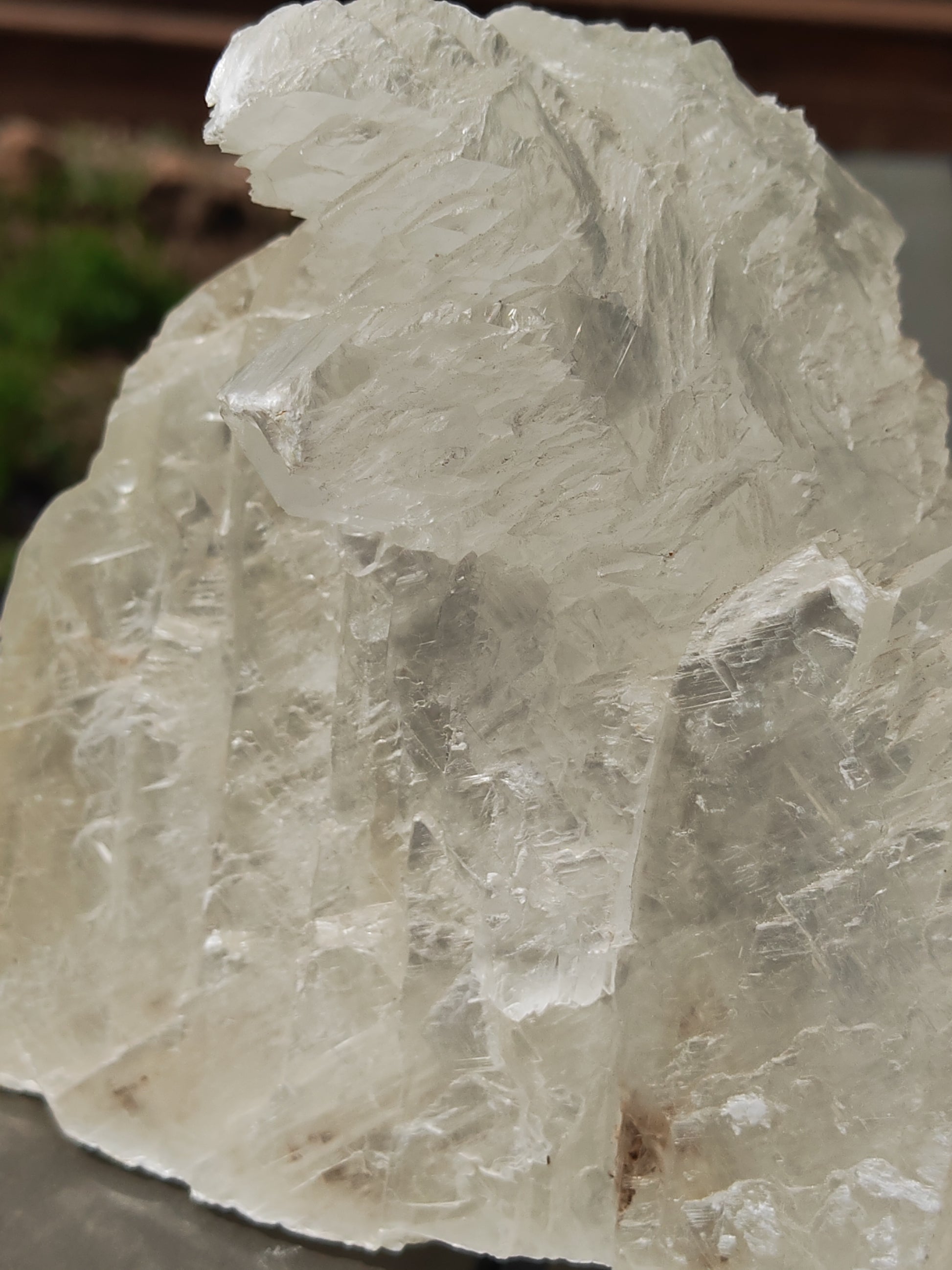 Earthstore® Selenite Angel Wing or Fishtail Upright Cut Base Formation Display 2.5kG