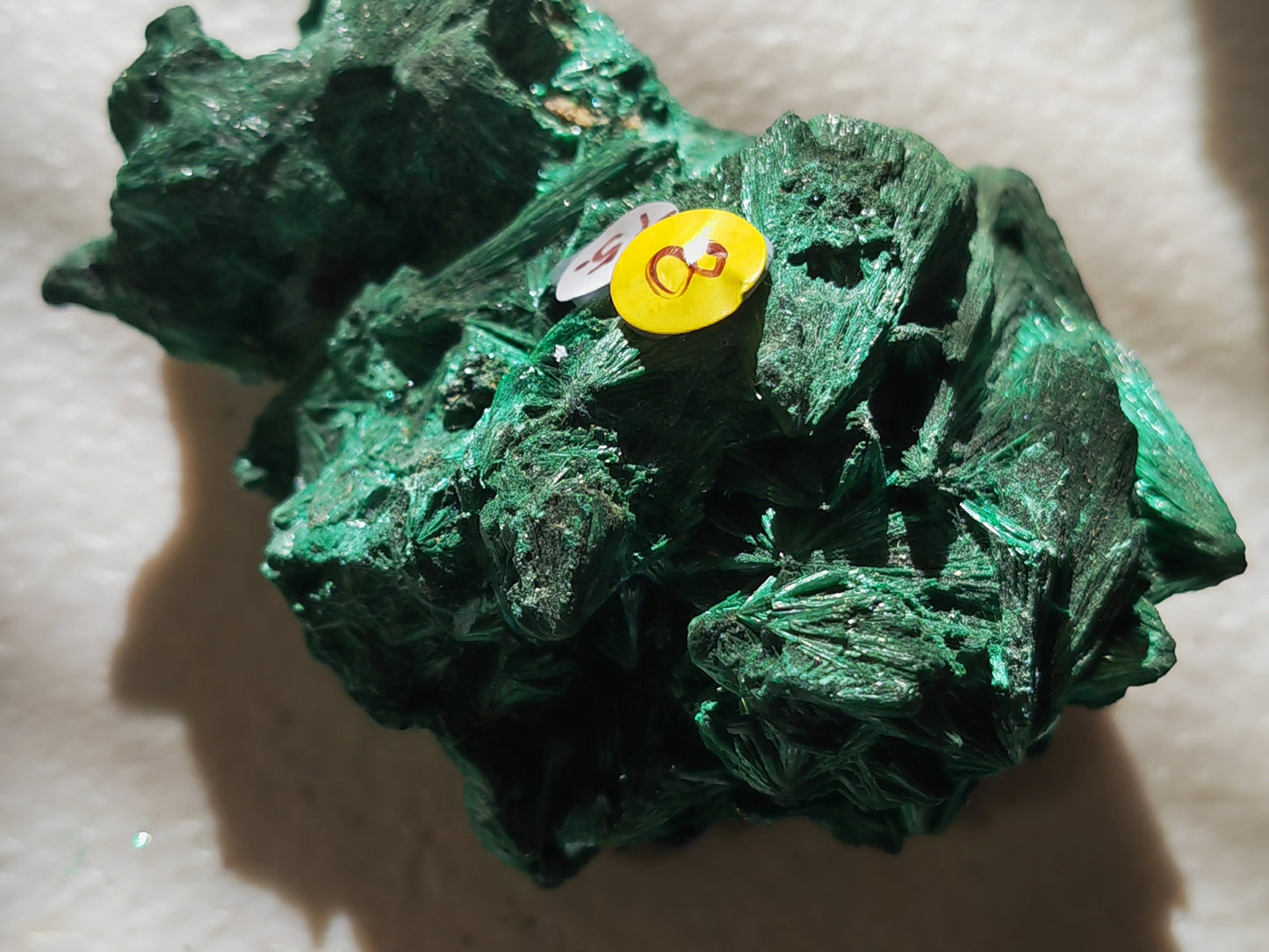 Malachite - Fibrous or Velvet Malachite | Crystal of Transformation, Protection & Heart Healing