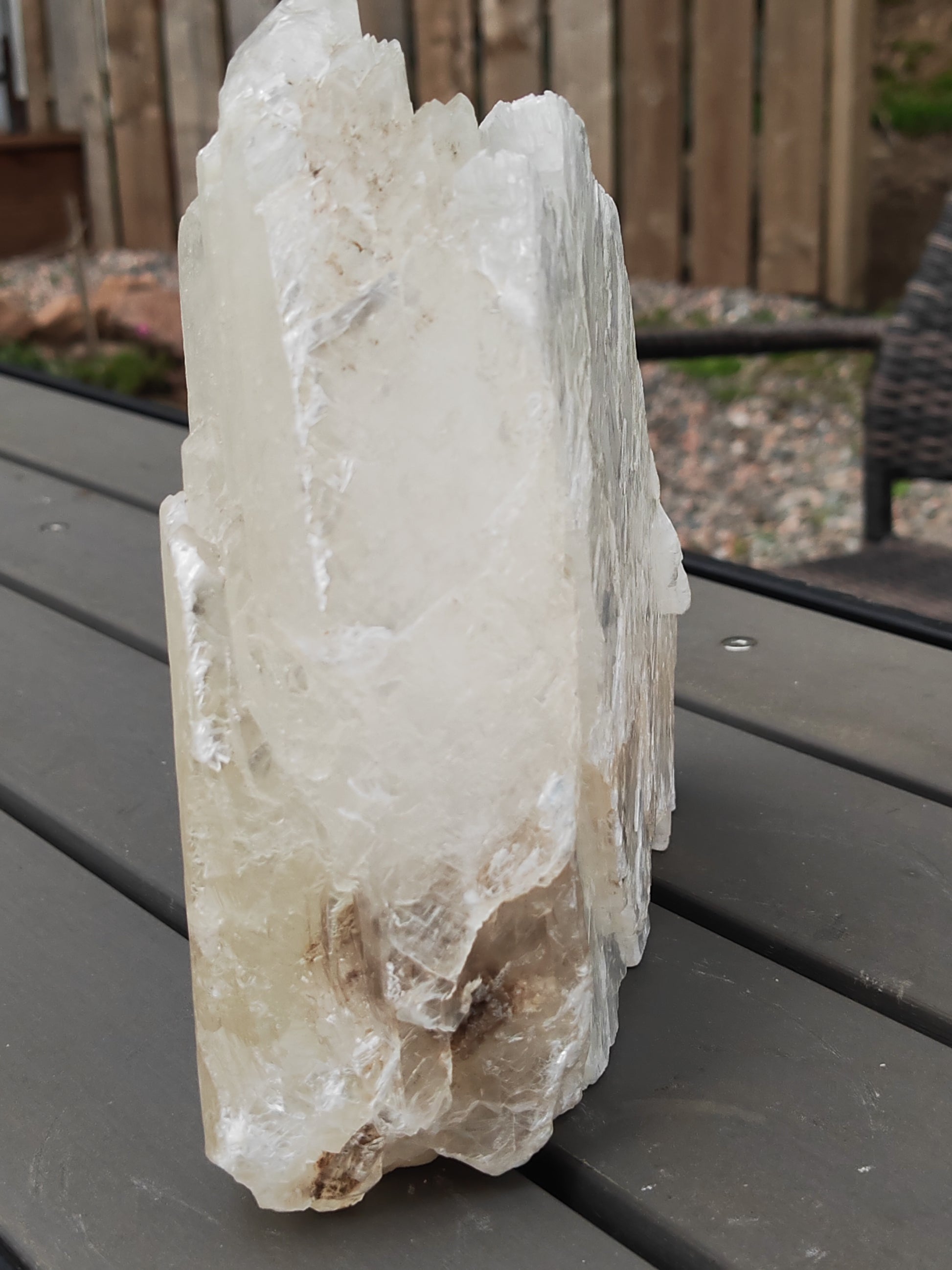 Earthstore® Selenite Angel Wing or Fishtail Upright Cut Base Formation Display 3.3Kg