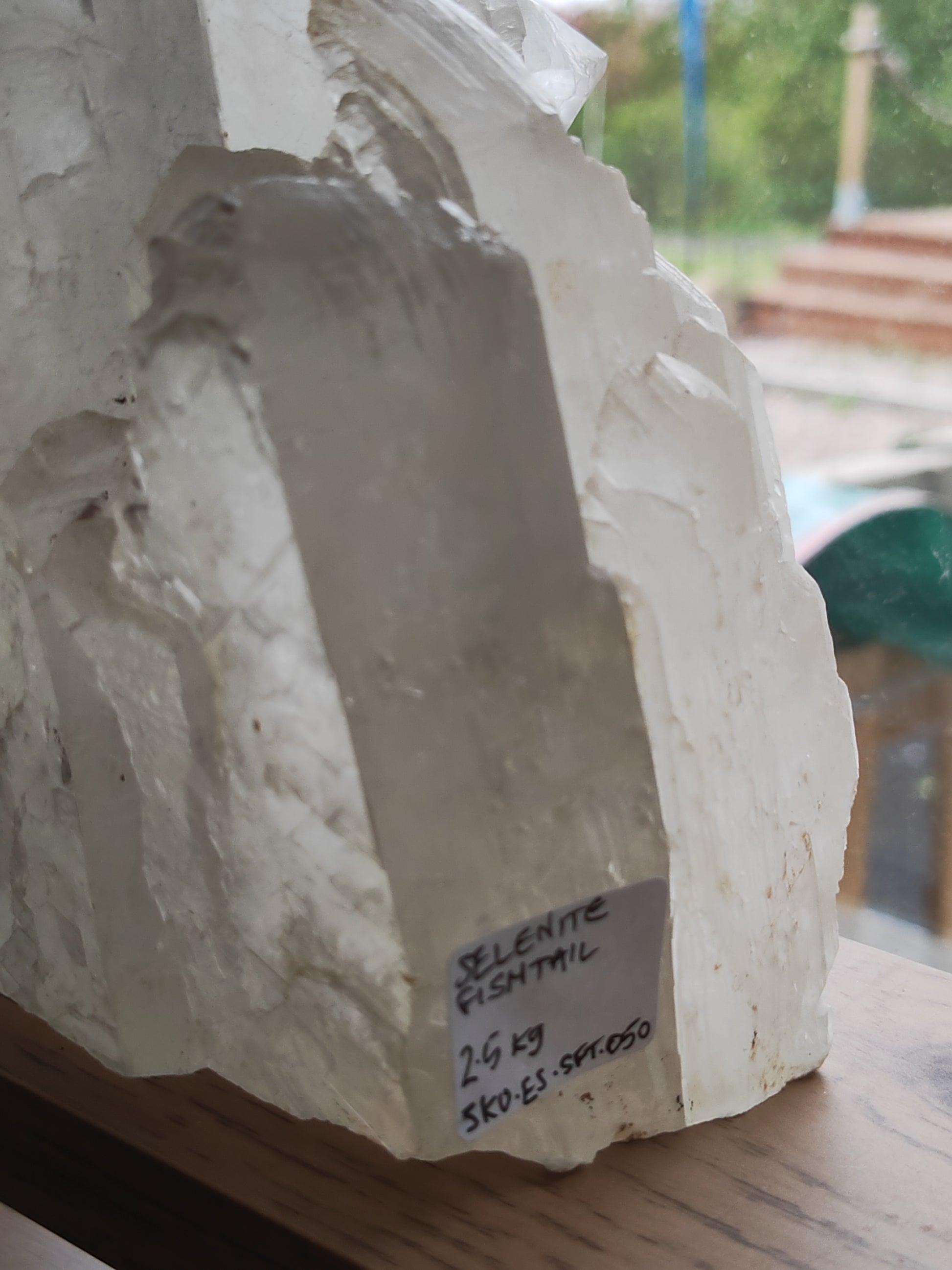 Earthstore® Selenite Angel Wing or Fishtail Upright Cut Base Formation Display 2.5kG