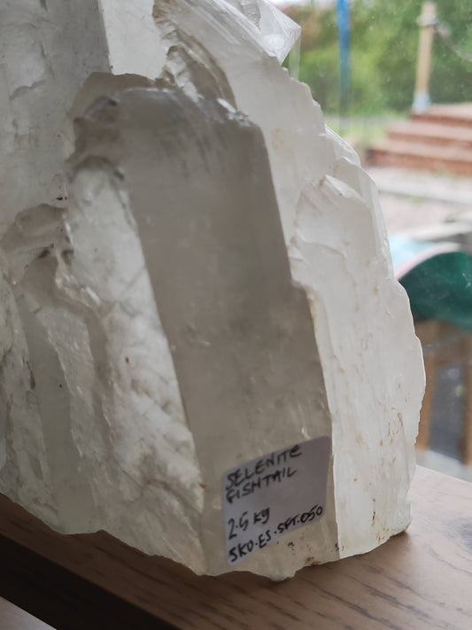 Earthstore® Selenite Angel Wing or Fishtail Upright Cut Base Formation Display 2.5kG