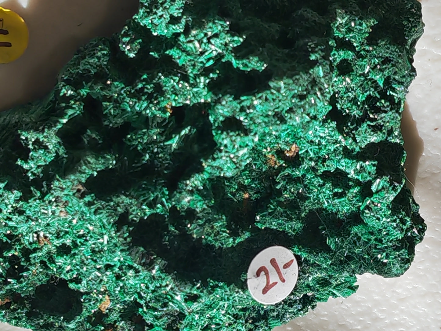 Malachite - Fibrous or Velvet Malachite | Crystal of Transformation, Protection & Heart Healing