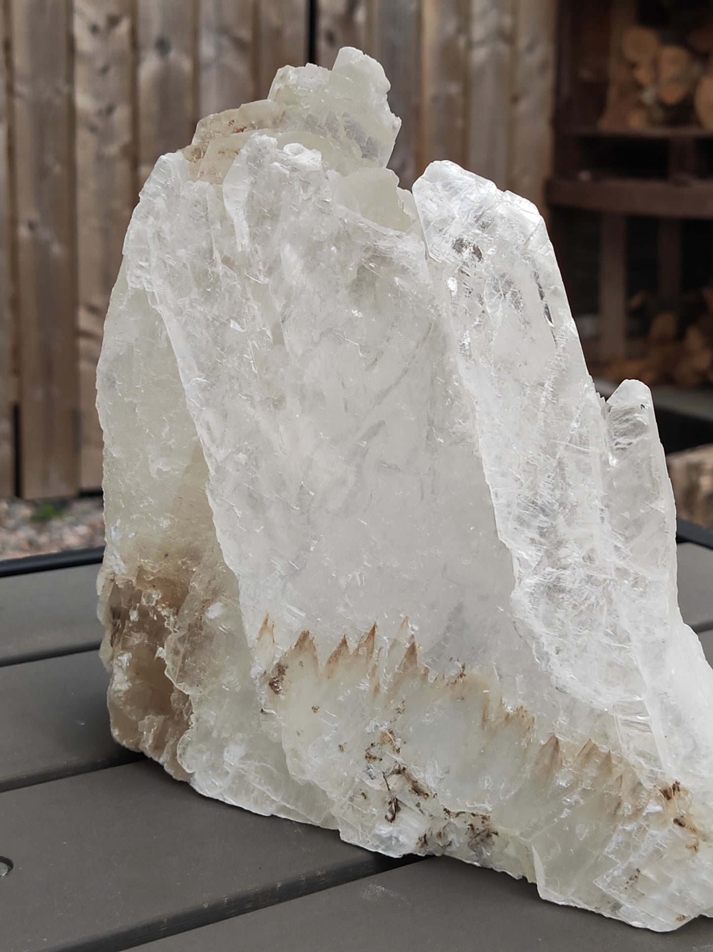 Earthstore® Selenite Angel Wing or Fishtail Upright Cut Base Formation Display 3.3Kg